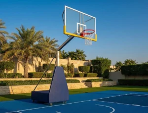 Basketball Movable Post with Padding