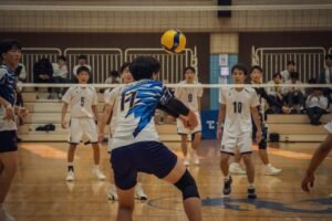 Volleyball Post Fixed Type
